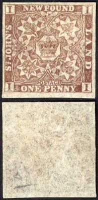 newfoundland-sg16-1d-chocolate-brown-mint-no-gum-cat-350-pounds