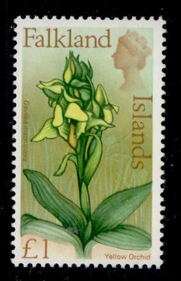 falkland-islands-qeii-sg245-1-nh-mint-cat-15