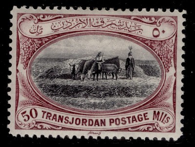 transjordan-gv-sg216-50m-black-purple-m-mint-cat-40