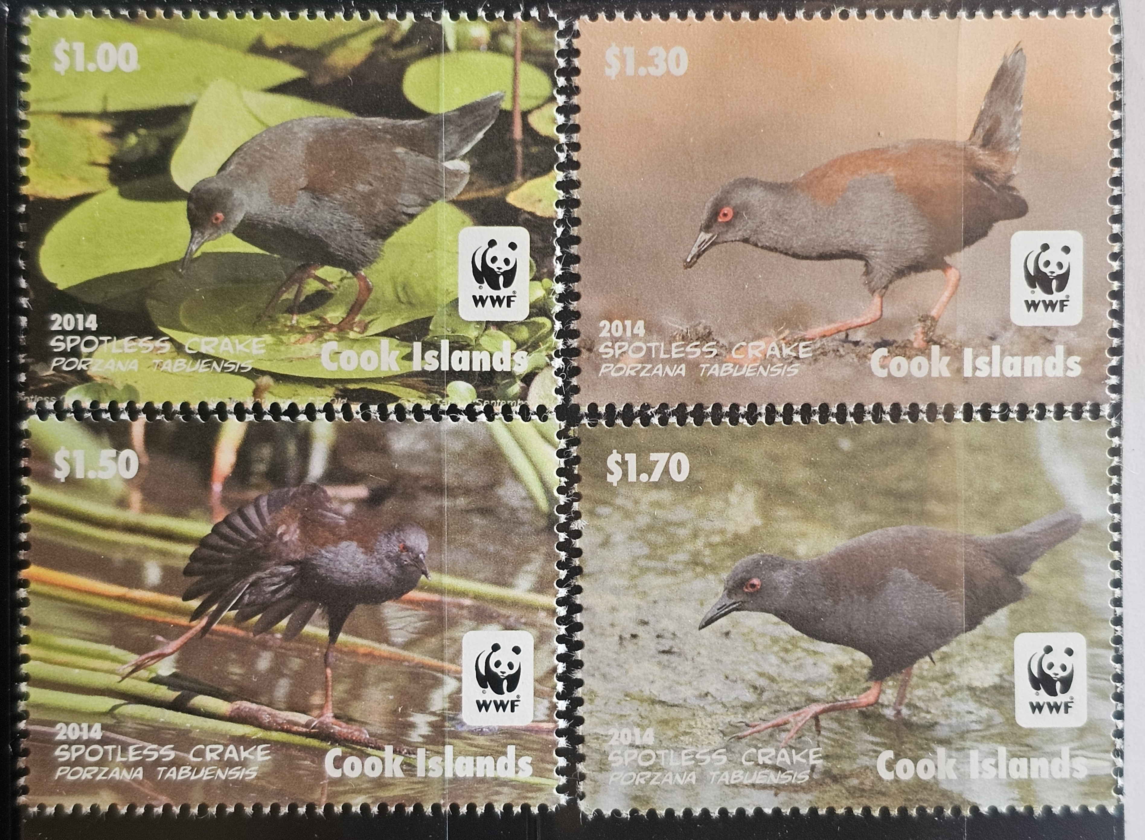 cook-island-2014-wwf-birds-mnh-set-of-4-stamps-fauna-animals