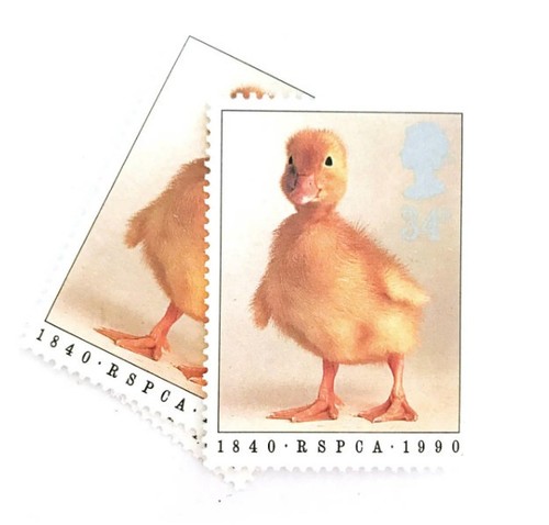 3-x-rspca-duckling-1990-34p-unused-gb-mint-mnh-vintage-british-postage-stamps