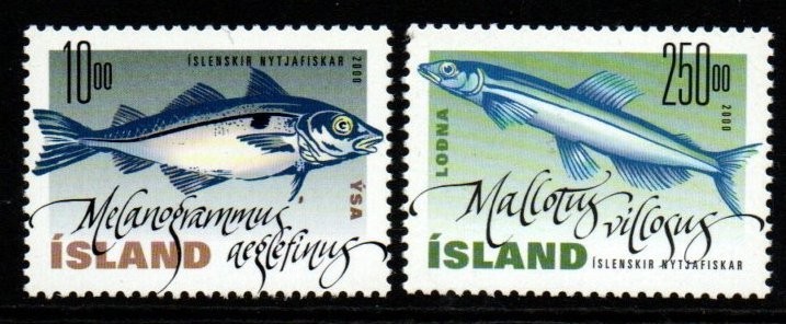 iceland-sg972-3-2000-fish-mnh