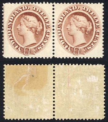 newfoundland-sg61-12c-deep-brown-pair-m-m-cat-180-pounds