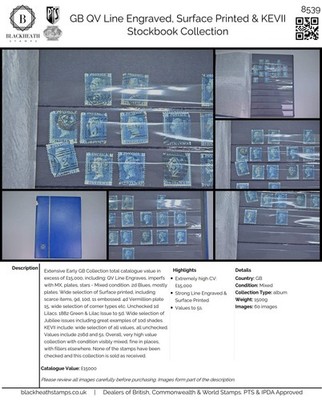 8539-gb-qv-line-engraved-surface-printed-kevii-stockbook-mixed-c15000-62