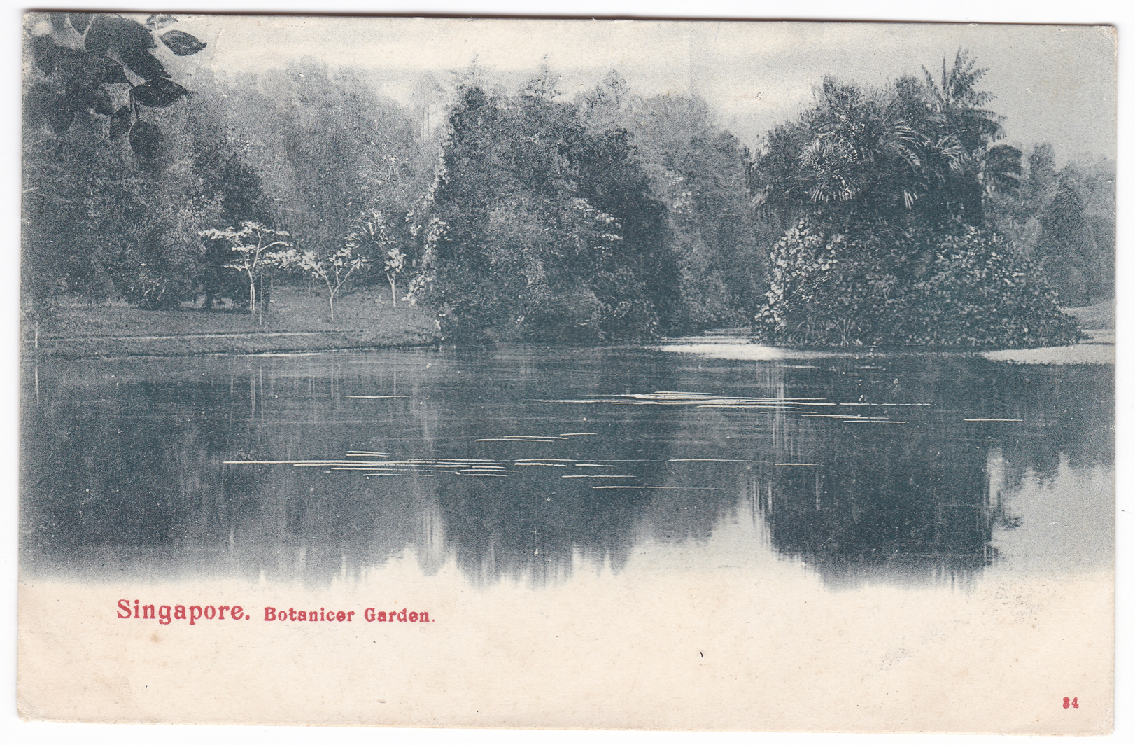 singapore-botanicer-garden-postcard-used-cornwall-england