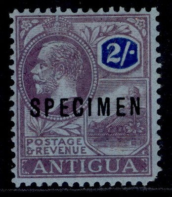 antigua-gv-sg77s-2s-purple-blue-blue-m-mint-specimen