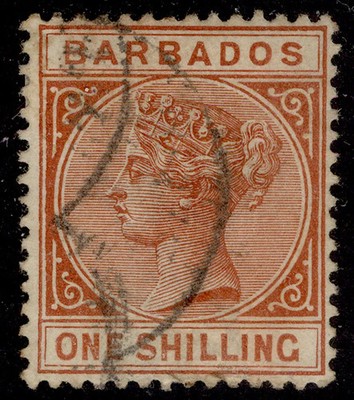 barbados-qv-sg102-1s-chestnut-used-cat-24