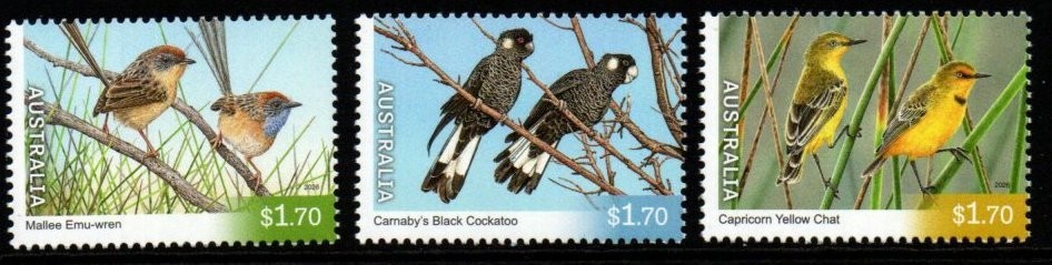 australia-2026-endangered-birds-mnh