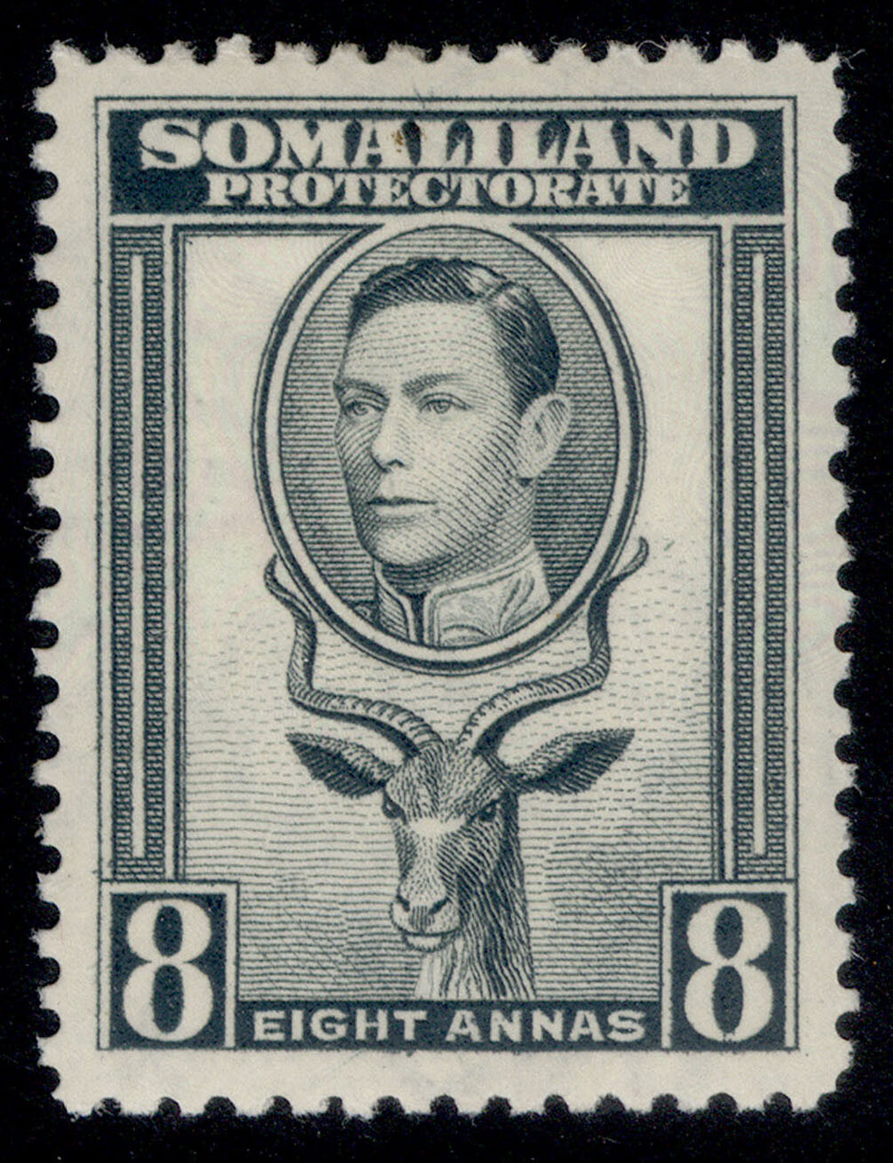 somaliland-protectorate-gvi-sg99-8a-grey-m-mint