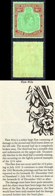 bermuda-sg119c-10-broken-leaves-m-m-cat-70-pounds