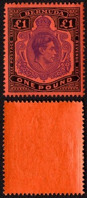 bermuda-sg121e-one-pound-bright-violet-and-black-scarlet-m-m-cat-180-pounds