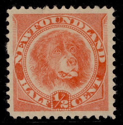 canada-newfoundland-qv-sg62-c-orange-vermilion-unused-cat-65