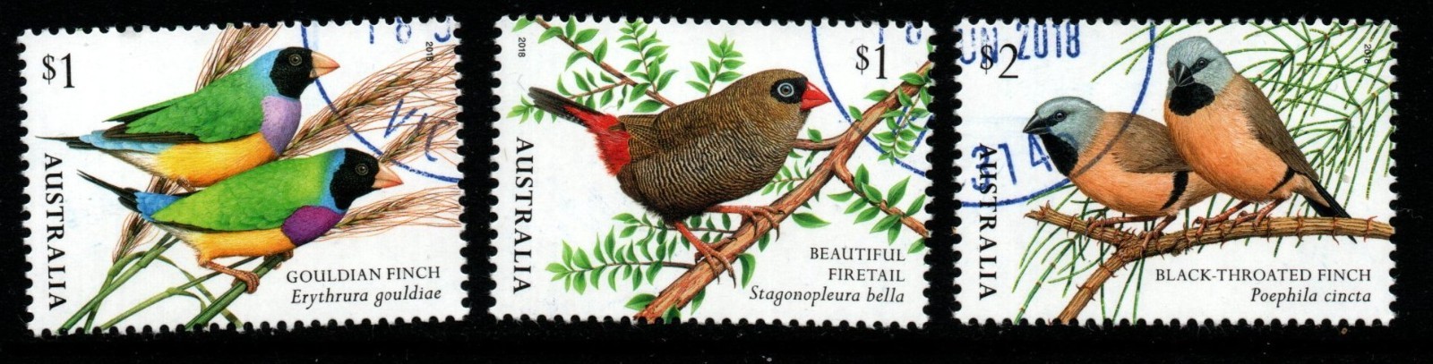 australia-sg4919-21-2018-finches-used