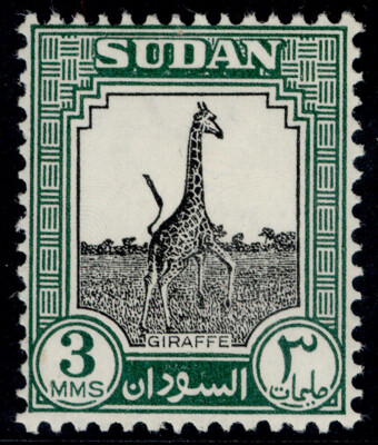 sudan-gvi-sg125-3m-black-green-m-mint-cat-13
