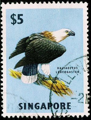 singapore-sg77-5-multicoloured-fine-used-cds
