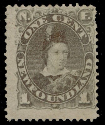 canada-newfoundland-qv-sg44-1c-dull-grey-brown-unused-cat-60