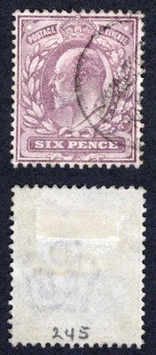 kevii-sg245-6d-pale-dull-purple-dlr-used-cat-10-pounds