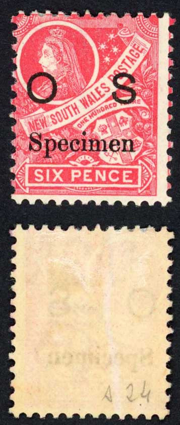 nsw-sgo42as-6d-carmine-perf-12-m-m-opt-specimen