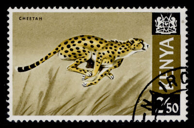 kenya-qeii-sg32-2s-50-yellow-black-olive-brown-fine-used