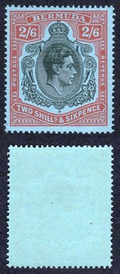 bermuda-sg117d-2-6-black-and-orange-red-pale-blue-m-m-cat-18-pounds