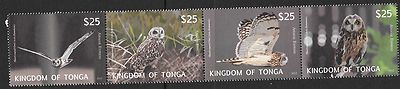 tonga-2012-owls-strip-mnh