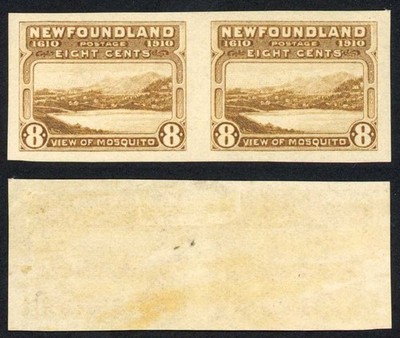 newfoundland-sg112-8c-yellow-brown-m-m-cat-250-pounds