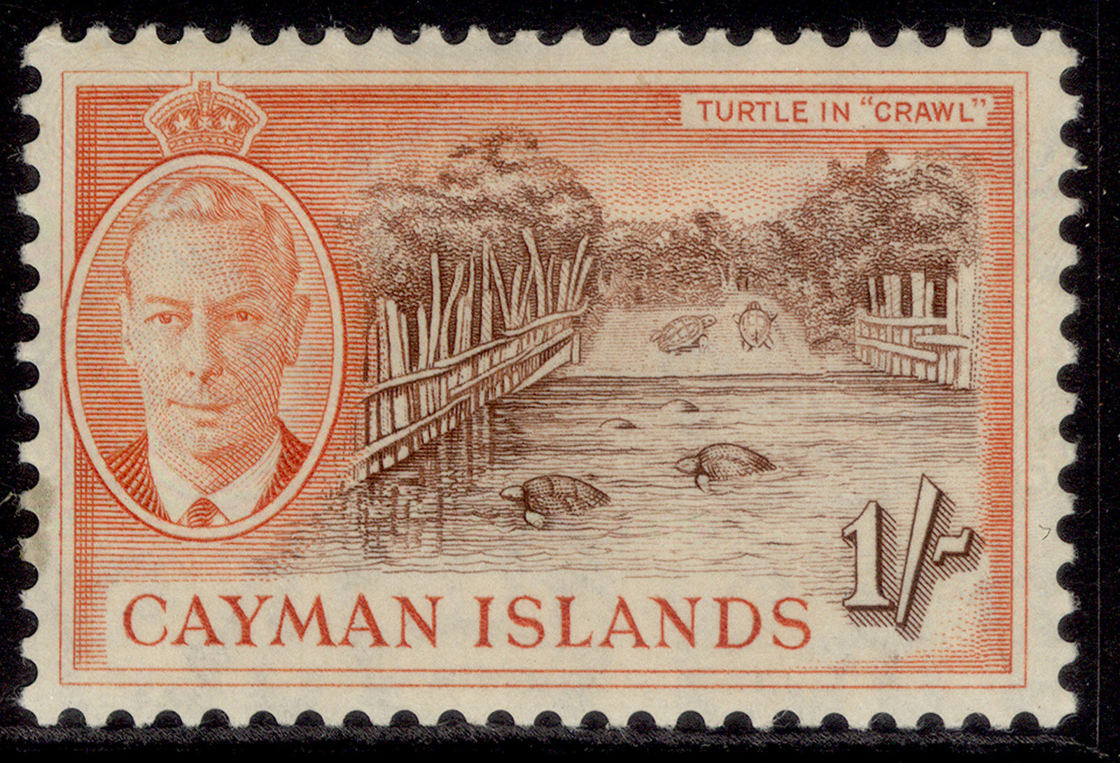 cayman-islands-gvi-sg144-1s-brown-orange-m-mint