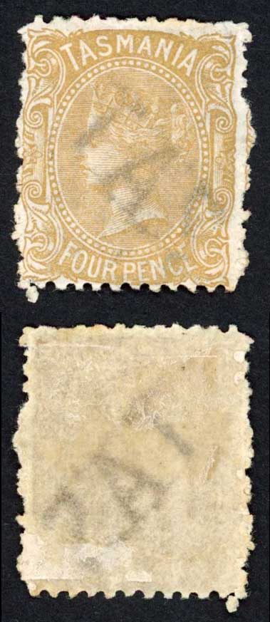 tasmania-sg147b-4d-buff-cat-80-pounds
