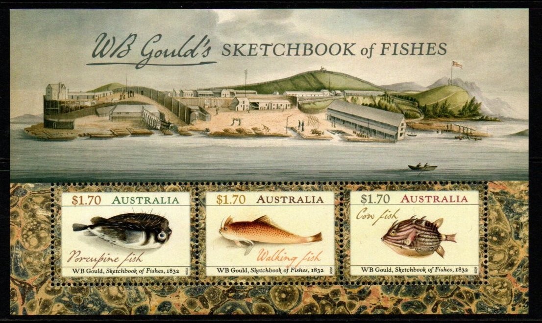 australia-2026-wb-gould-s-sketchbook-of-fishes-m-sheet-mnh