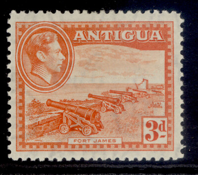 antigua-gvi-sg103-3d-orange-m-mint
