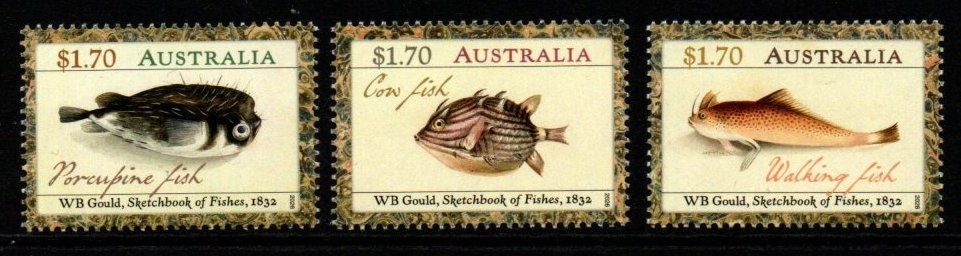 australia-2026-wb-gould-s-sketchbook-of-fishes-mnh