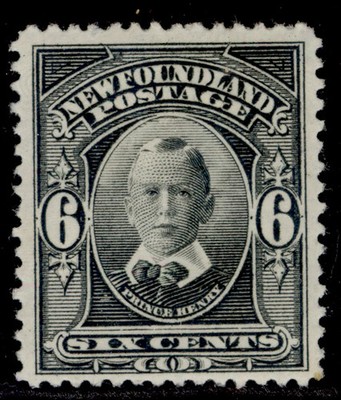 canada-newfoundland-gv-sg122-6c-slate-grey-m-mint-cat-20