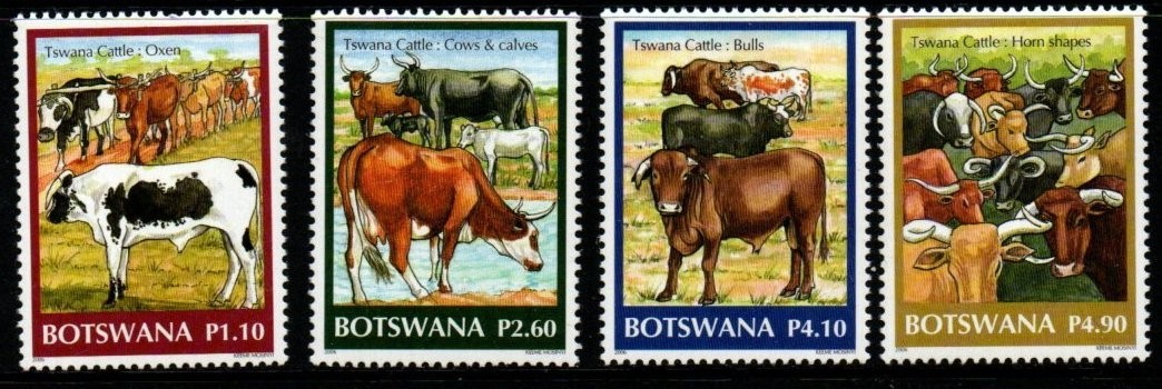 botswana-sg1053-6-2006-cattle-mnh