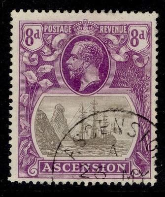 ascension-gv-sg17-8d-grey-black-bright-violet-vfu-cat-50