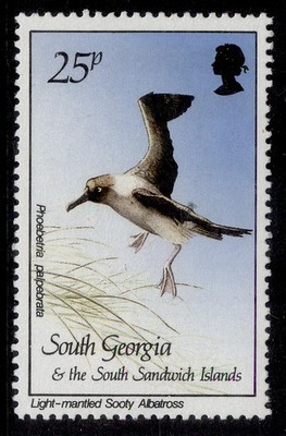 falkland-islands-south-georgia-qeii-sg172-1987-25p-sooty-albatross-nh-mint