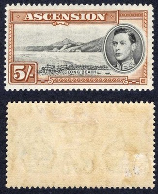 ascension-sg46-5-black-and-yellow-brown-perf-13-5-m-m-cat-100-pounds