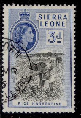sierra-leone-qeii-sg214a-3d-black-brt-blue-fine-used-cat-20-perf-13-x-13