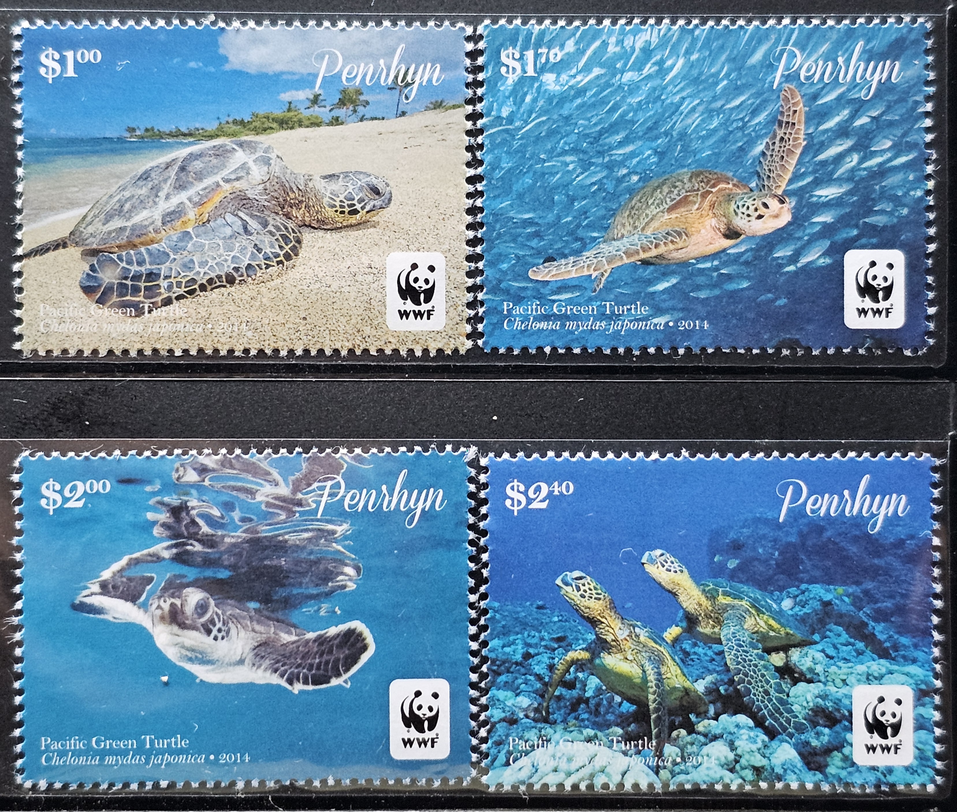 penrhyn-2014-worldwide-protection-of-nature-mnh-wwf-oceania-marine-life