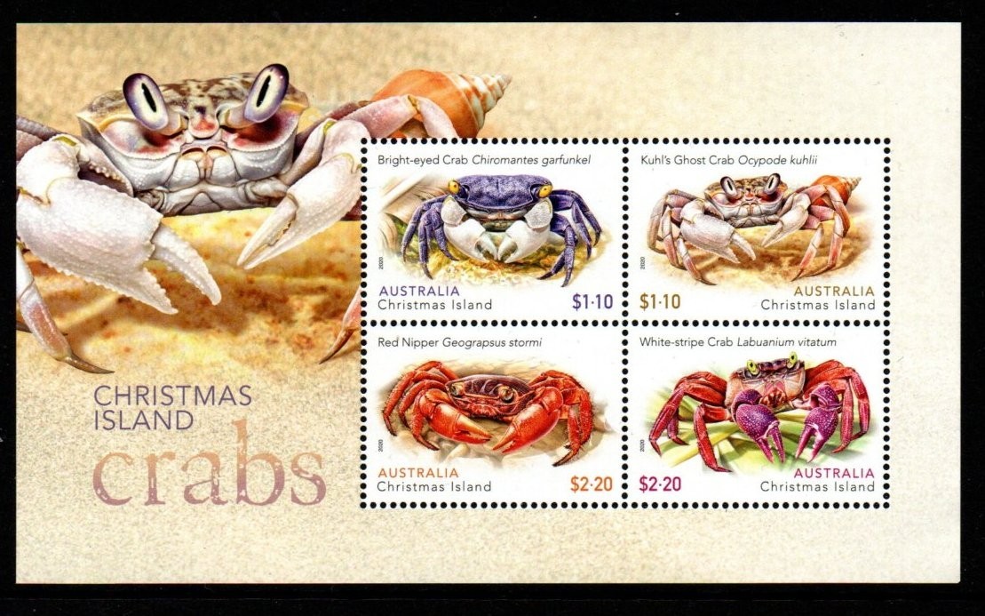 christmas-island-sgms935-2020-crabs-mnh