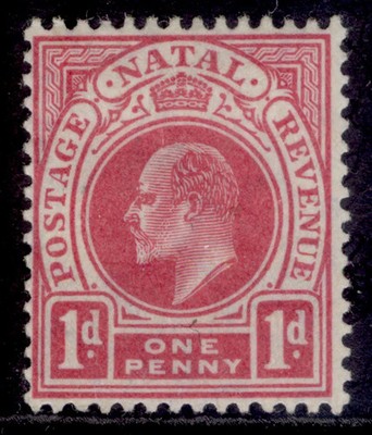 south-africa-natal-edvii-sg147-1d-rose-carmine-m-mint-cat-12