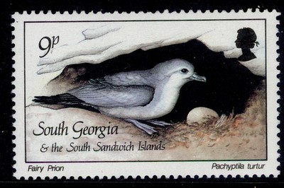 falkland-islands-south-georgia-qeii-sg169-1987-9p-fairy-prion-nh-mint