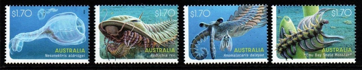 australia-2026-creatures-of-the-palaeozic-mnh