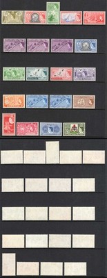 bermuda-sg135-50-set-u-m-cat-120-pounds