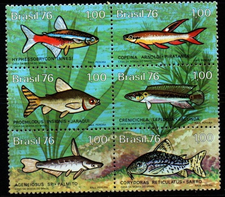 brazil-sg1613-8-1976-freshwater-fish-mnh