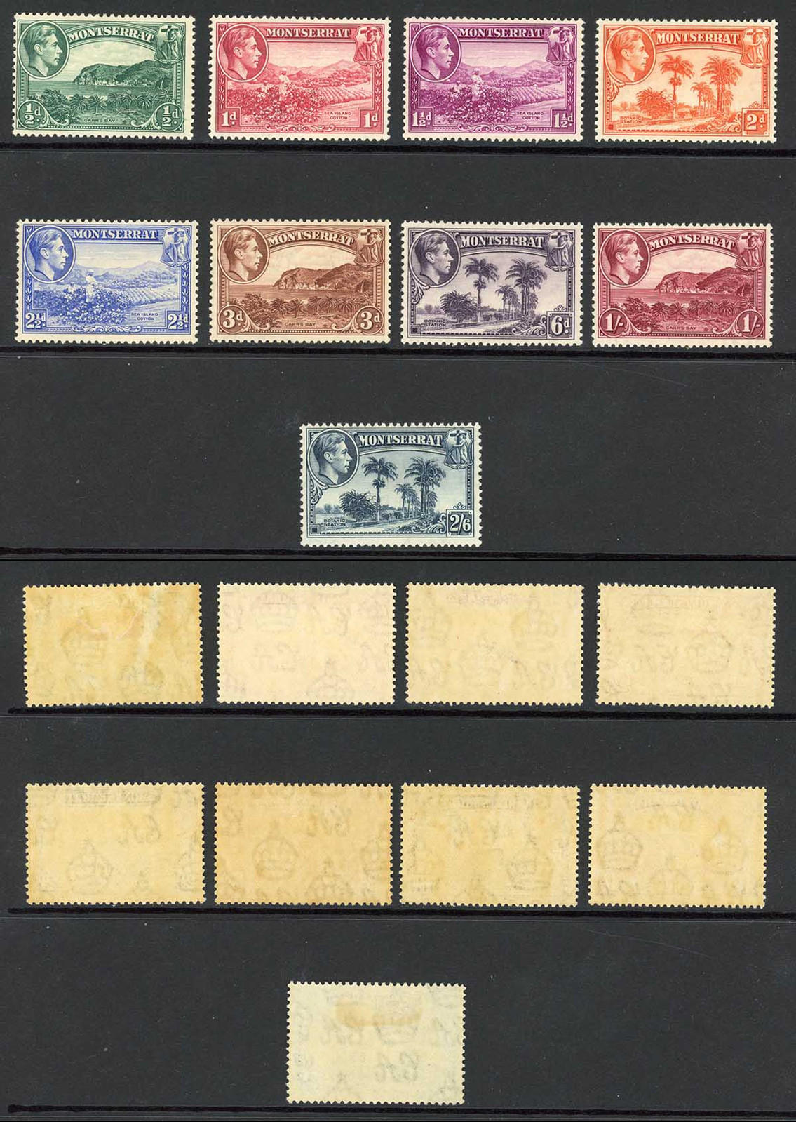 montserrat-sg101-109-set-to-2-6-perf-13-m-m-cat-183-pounds
