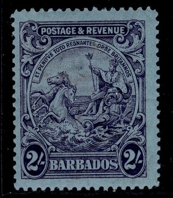 barbados-gv-sg238-2s-purple-blue-m-mint