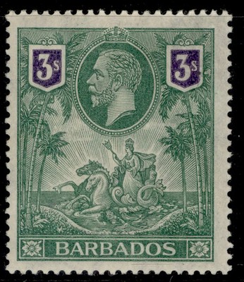barbados-gv-sg180-3s-green-violet-m-mint-cat-120