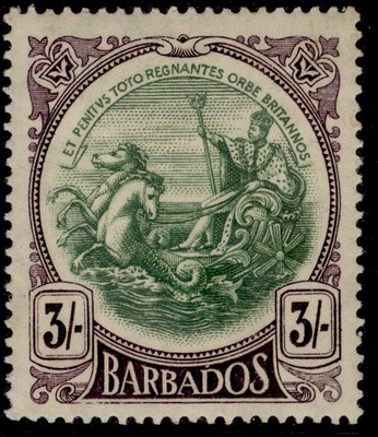 barbados-gv-sg200-3s-green-deep-violet-m-mint-cat-35