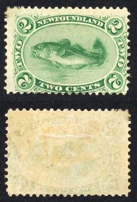 newfoundland-sg25-2c-yellow-green-thin-yellowish-green-m-m-cat-180-pounds