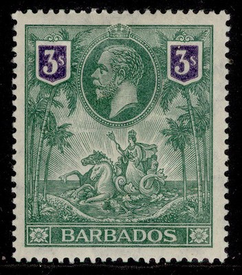 barbados-gv-sg180-3s-green-violet-m-mint-cat-120